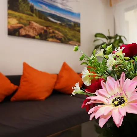 Apartmán Traumferienwohnung - Mit Schoenem Wintergarten Todtmoos